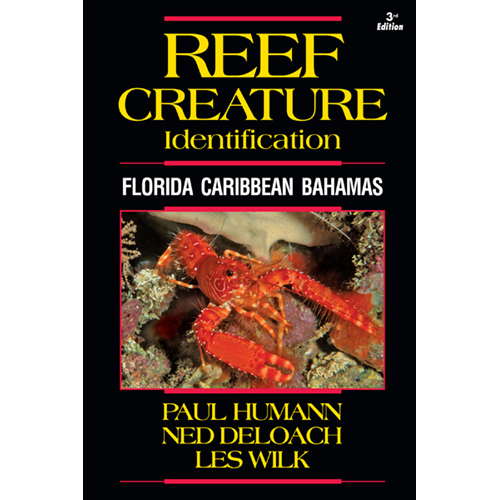 Reef Creature ID - Florida Caribbean Bahamas